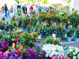 Floralies de Vaison