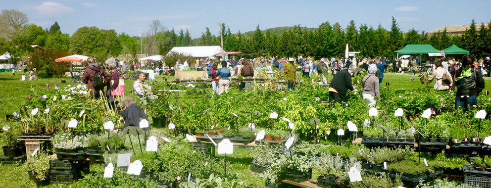 Plantes rares et jardin naturel