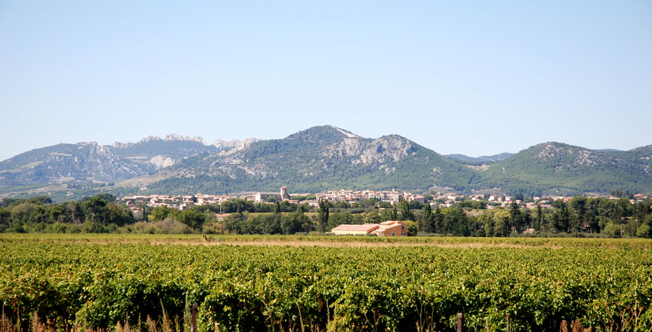 jabouin-pepiniere-caromb