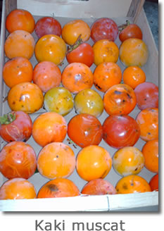 Kaki muscat — fruits frais