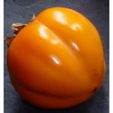Kaki Persimon