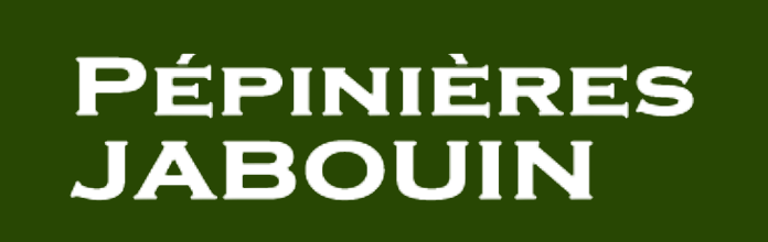Logo du site sur fond de charte