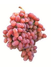 Raisin apyrène
