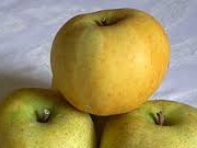 Pomme Blanchet