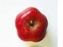 Pomme d'Api étoilé
