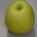 Pomme Golden