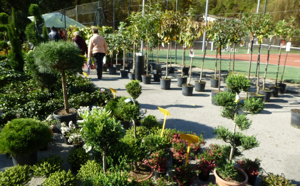 31ᵉ Festival de l’Arbre et de l’Agroforesterie