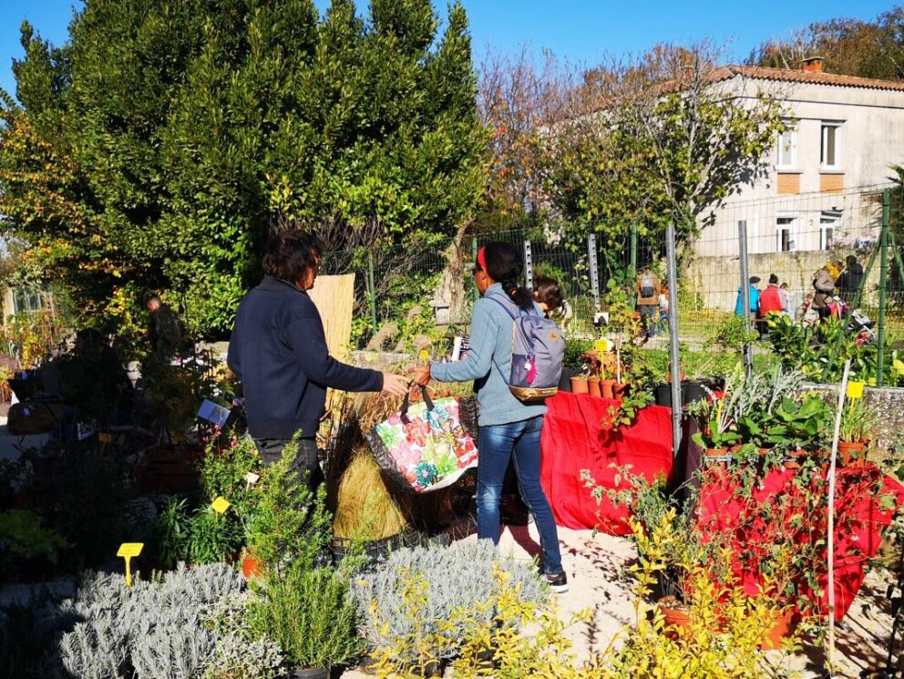 Fête de la biodiversité paysanne et des variétés anciennes