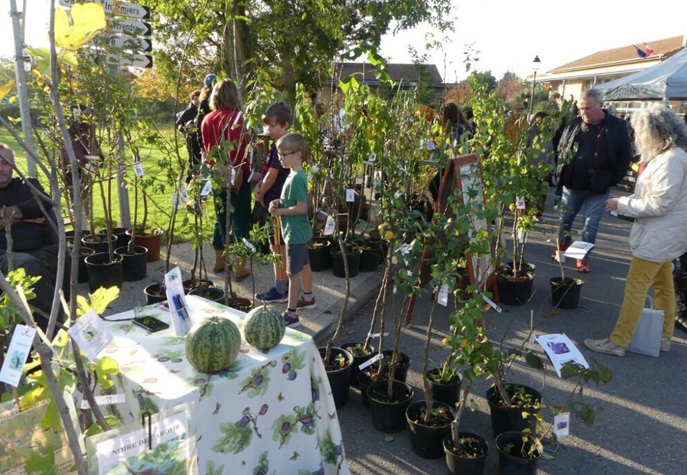 Foire aux arbres